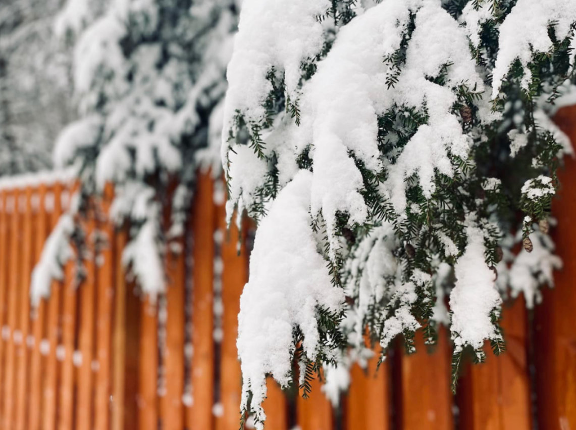 Preparing Your Fence for Winter in Augusta County: Maintenance Tips That Save Money